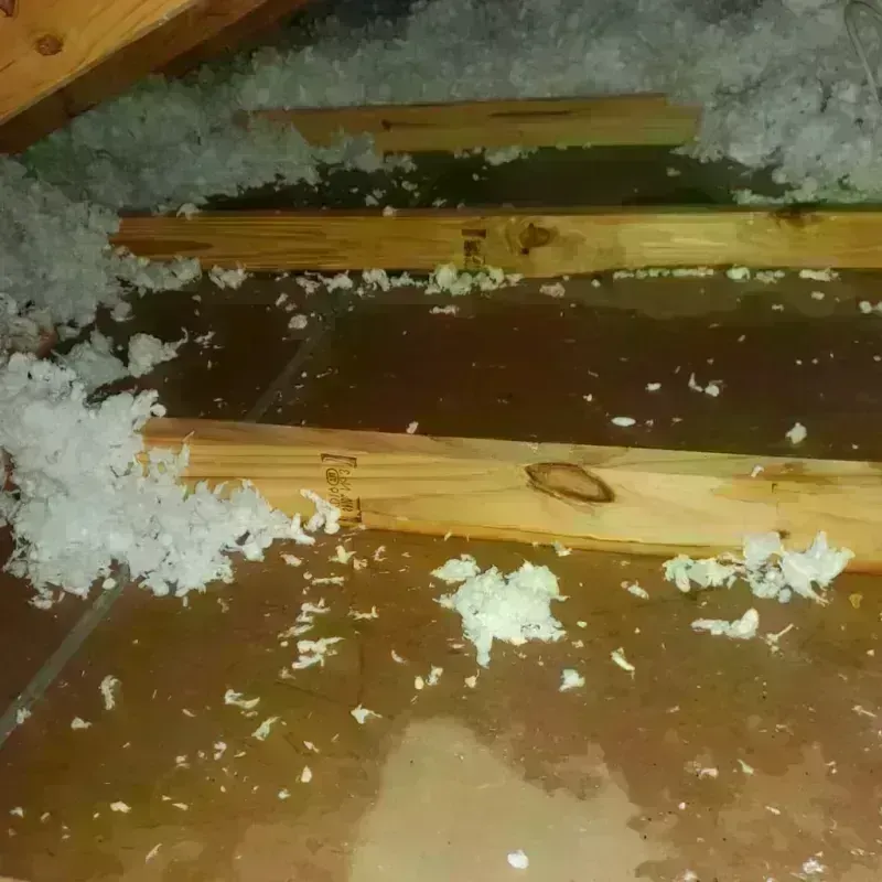 Attic Water Damage in Lake View, IA